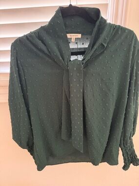 Max Studio Dark Green Tie-Neck Swiss Dot Blouse
